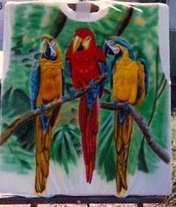 Friendly Macaws